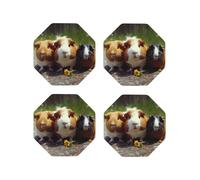 Set di 4 sottobicchieri rotondi in pelle a forma di porcellini d'India divertenti per bevande, assorbenti, tazze con supporto, resistenti al calore, sottobicchieri per tazze da caffè, per cucina e uf