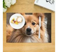 Set di 4 tovagliette antiscivolo resistenti al calore per tavolo da pranzo, con simpatici cani Shetland, lavabili, in tessuto intrecciato, perfette per decorare la cucina, sia all'interno che all'es