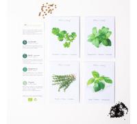 Set di 4 varietà di semi di erbe aromatiche. Basilico, timo, coriandolo, menta piperita. Semi ecologici di piante aromatiche