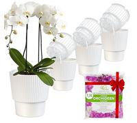 Set di 4 vasi autoirriganti per orchidee Garten lux - Bianco, Ø13 cm, vaso per orchidee 1,7 L (vaso interno 1,35 L con fori di drenaggio e stoppino) + 7,5 L di substrato per orchidee per tutti i tipi