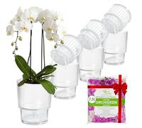 Set di 4 vasi autoirriganti per orchidee Garten lux - Trasparente, Ø13cm, vaso per orchidee 1,7L (vaso interno 1,35L con fori di drenaggio e stoppino) + 7,5L di substrato per orchidee per tutti i tipi