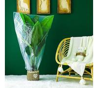 Set di 5 coperture trasparenti per piante per uso esterno in giardini o patii che forniscono protezione dal gelo e penetrazione della luce solare per una crescita sana (80 x 140 cm)