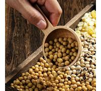 Set di 5 cucchiai dosatori in legno Gadget multiuso di da bagno Cucchiaino