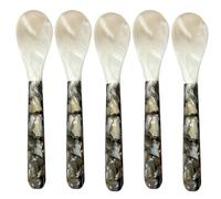 Set di 5 Cucchiai per Caviale - Cucchiai in Conchiglia di Madreperla con Manico Rotondo Fatto a Mano | Cùcchiai da Portata Conchiglia per Gèlato, Caffè, Uova, Caviale | Decorativo Bianco Nero