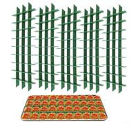 Set di 5 divisori per vassoi, di medie dimensioni, per frutta, verdura, caramelle, per liofilizzazione, cottura e conservazione degli alimenti (verde)