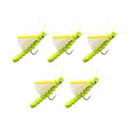 Set di 5 esche con mosca - esche bioniche imitazione insetti | ami per trota e kit realistico, attrezzatura salmone, luccio in acqua con scatola di immagazzinaggio