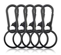 Set di 5 moschettoni, portachiavi a moschettone, moschettone rimovibile, portachiavi in metallo, moschettone, piccolo moschettone, piccolo portachiavi come portachiavi e per il fai da te