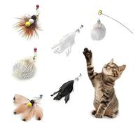 Set di 5 Ricambi per Cannetta Gatto Teste di Ricambio a Forma di Insetti per Giochi Interattivi Accessori per Piumino Gatto per Stimolare l Istinto di Caccia Ricariche Universali Senza Bacchetta