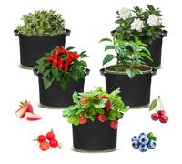 Set di 5 Sacchi per Piante in Tessuto, 20L Plant Grow Bag Borse, Vasi di Coltivazione da Orto, Sacco per Patate Con Maniglie, Borsa per Piante Vaso per Patate, pomodori, Verdure, Ravanelli, Fragole