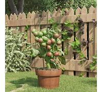 Set di 5 supporti per piante da 45 cm, traliccio per pomodori e piante rampicanti, gabbia per pomodori in acciaio con 3 anelli, stabile e durevole