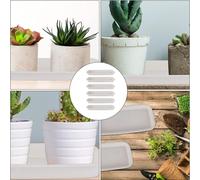 Set di 5 Supporti per Piante, Vassoi Eleganti per Giardino E Interni