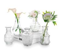 Set di 5 vasi da fiori decorativi rustici in vetro per fiori piccoli vasi da tavolo in stile Barcellona per decorazioni per la casa, eventi, look vintage