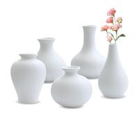 Set di 5 Vasi in Ceramica, Piccoli Vasi per Fiori, Opachi Deco Per l'erba Della Pampa, Vasi Moderni Boho Vasi di Fiori Decorazione Per la Casa Moderno (Bianco)