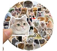 Set di 50 Adesivi di Gatti, Impermeabili Vinile Stickers per Amanti dei Gatto, Bottiglia d'Acqua, Bici, PC, Telefono