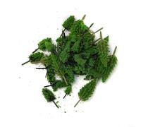 Set di 50 modelli di alberi in miniatura per treno, ferrovia, paesaggio, paesaggio, fai da te, scala OO, Wargame Diorama, Sandbox, layout di edificio in plastica verde (B)