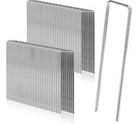 Set di 50 Picchetti per Fissaggio a Terra Inossidabili, 200mm lang, 40mm breit，Ø 2,5mm
