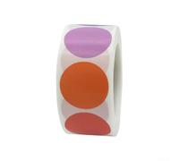 Set di 500 etichette adesive vuote per barattoli di spezie, mensole dispense, contenitori e confezioni fai da te scrivibili (colorate)
