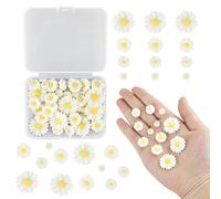 Set di 56 mini decorazioni con margherite, con scatola portaoggetti, margherite, decorazioni decorative per torte, fiori, piccole margherite in resina, per lavori fai da te, feste, casa