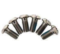 Set di 6 bulloni per rotore trp ti t25