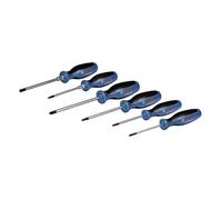 Set di 6 cacciaviti piatti