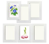 Set di 6 cornici adesive per collage, 12,7 x 17,8 cm, per decorazione da parete, senza bisogno di chiodi, da appendere alla parete per foto, decorazione per casa, ufficio, soggiorno, mostre,