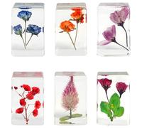 Set di 6 cubi in resina con fiori secchi, fermacarte per scrivania da ufficio e decorazione per la casa