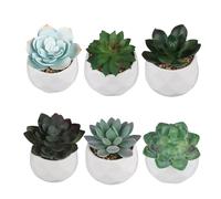 Set di 6 piante grasse artificiali vaso ceramica Bomboniere Regalo Decorazione