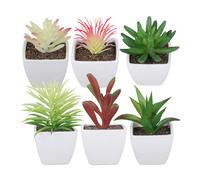 Set di 6 piante grasse artificiali vaso Plastica Bomboniere Regalo Decorazione