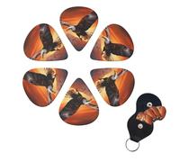 Set di 6 plettri per chitarra con aquila che vola al tramonto Set di plettri per basso personalizzati su entrambi i lati, con scatola portaoggetti, plettri per ukulele, accessori per uomini e donne