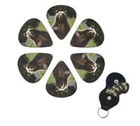 Set di 6 plettri per chitarra Hi Bear Sit on the Lawn Guitar Pick Set di plettri personalizzati su entrambi i lati con scatola organizer per ukulele, plettri per ukulele, accessori per uomini e donne