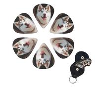 Set di 6 plettri per chitarra Husky Piquant Dog Set di plettri per basso personalizzati su entrambi i lati, con scatola organizer per ukulele, accessori per uomini e donne