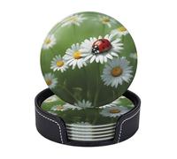 Set di 6 pratici sottobicchieri con coccinella su margherita, per ufficio, cucina, tavolino da caffè, decorazione per sala da pranzo, facile da pulire