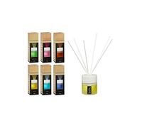 Set di 6 profumatori per ambienti "Urban", 6 diverse fragranze da 100 ml di olio profumato