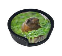 Set di 6 sottobicchieri con stampa di erba di porcellino d'India, con supporti, adatto per tavoli da pranzo, decorazione della cucina e tavolini da caffè.