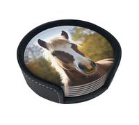Set di 6 sottobicchieri in pelle con cavallo pony per bevande, sottobicchieri per tazza da tè, per tazze, cucina, bar, decorazione per la casa, regalo di inaugurazione della casa