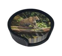 Set di 6 sottobicchieri in pelle con gatto sul tronco d'albero, cascata, per bevande, per tazze, cucina, bar, decorazione per la casa, regalo di inaugurazione della casa