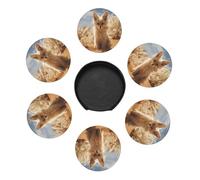 Set di 6 sottobicchieri rotondi in pelle Fennec Fox in The Desert, resistenti al calore e alle macchie, con supporto portaoggetti, ideali per sala da pranzo, cucina e ufficio.