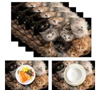 Set di 6 Tovaglietta Gatto Acquerello, Realismo Animale Tovagliette in Cotone Lino, Resistenti Al Calore Lavabili E Facili Da Pulire Tovagliette per Tavolo Da Cucina 45x30cm, Multicolore