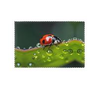 Set di 6 tovagliette resistenti all'olio e termoisolanti WZYWHJ con coccinella a sette stelle stampate, piatti da pranzo
