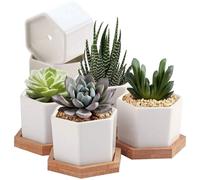 "Set di 6 Vasi in Ceramica Bianco con Sottobicchieri in Bambù: Design Elegante e