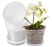 Set di 6 vasi trasparenti per orchidee con fori laterali e manopola centrale rialzata con 6 piattini per un monitoraggio stabile dell'umidità (150)