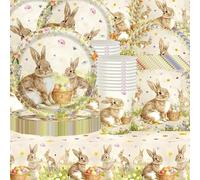 Set di 61 pezzi coniglietti pasquali, motivo pasquale, colori primaverili, decorazione di compleanno, tovaglia, bicchieri di carta, tovaglioli, piatti di carta, adatti per 20 ospiti