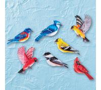 Set Di 7 Colorato Songbirds Metallo Interno/Esterno Casa Recinto Parete