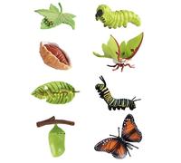 Set di 8 giocattoli a forma di farfalla, ciclo di vita, giocattolo per insetti, strumenti didattici