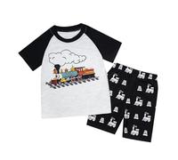 Set di Abiti per Bambini da 8 Anni, con Maglietta a Maniche Corte e Pantaloncini con Stampa di Dinosauri, Comodi e Casual, per Bambini Piccoli, Estate e Primavera, da Indossare Tutti i Giorni. H