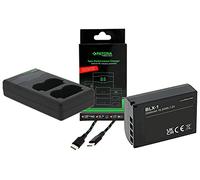 Set di accessori per Olympus OM-1, batteria (2250 mAh) e caricatore doppio con display LCD, compatibile con batteria Olympus BLX-1, batteria con sensore NTC e alloggiamento V1 (ignifugo)