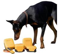 Set di addestramento per l'agilità del cane, corso di esca interattivo per esercizi all'aperto, migliora la salute e l'attività degli animali domestici