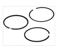 GOETZE ENGINE 08-406207-00 Kit fasce elastiche