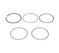 GOETZE ENGINE 08-429400-00 Kit fasce elastiche