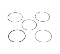 Goetze Engine Kit fasce elastiche 08-434600-00